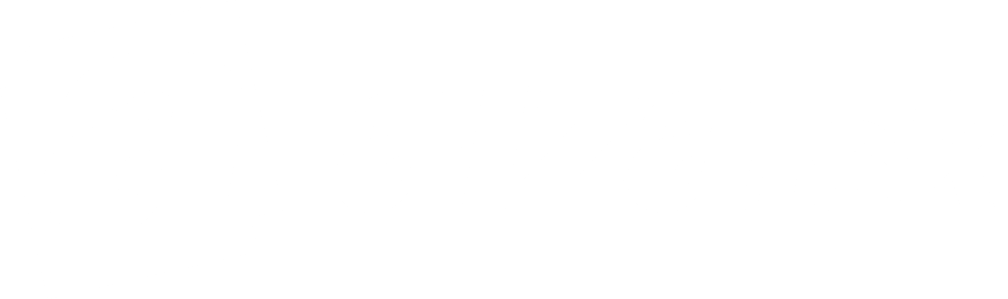 logo_alza
