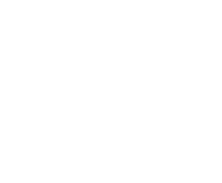 logo_phoenix